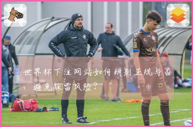 世界杯下注网站如何辨别正规与否，避免踩雷风险？
