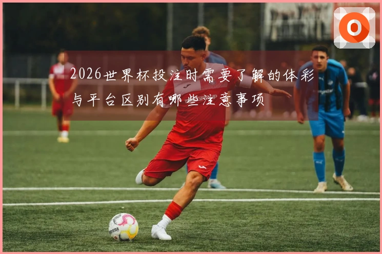 2026世界杯投注时需要了解的体彩与平台区别有哪些注意事项