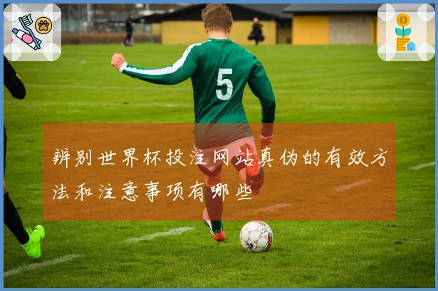 辨别世界杯投注网站真伪的有效方法和注意事项有哪些