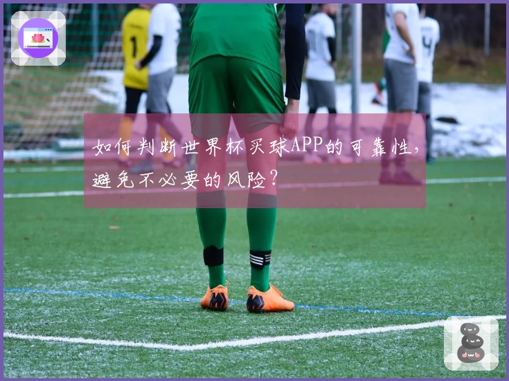 如何判断世界杯买球APP的可靠性，避免不必要的风险？