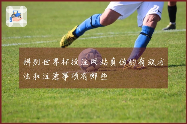 辨别世界杯投注网站真伪的有效方法和注意事项有哪些