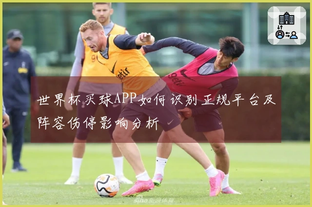 世界杯买球APP如何识别正规平台及阵容伤停影响分析