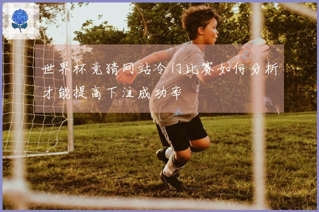 世界杯竞猜网站冷门比赛如何分析才能提高下注成功率