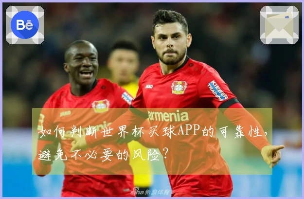 如何判断世界杯买球APP的可靠性，避免不必要的风险？