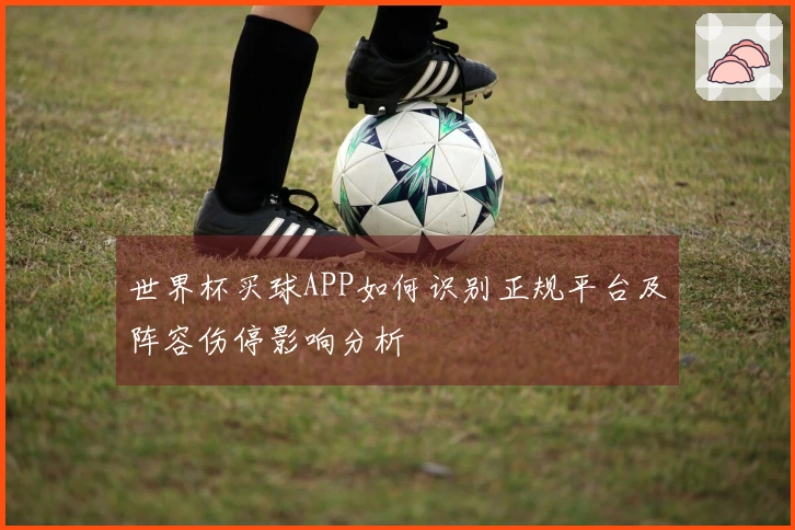 世界杯买球APP如何识别正规平台及阵容伤停影响分析