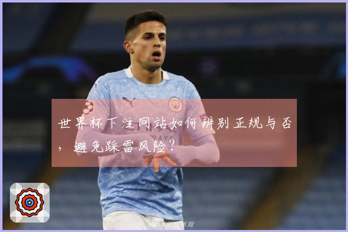 世界杯下注网站如何辨别正规与否，避免踩雷风险？